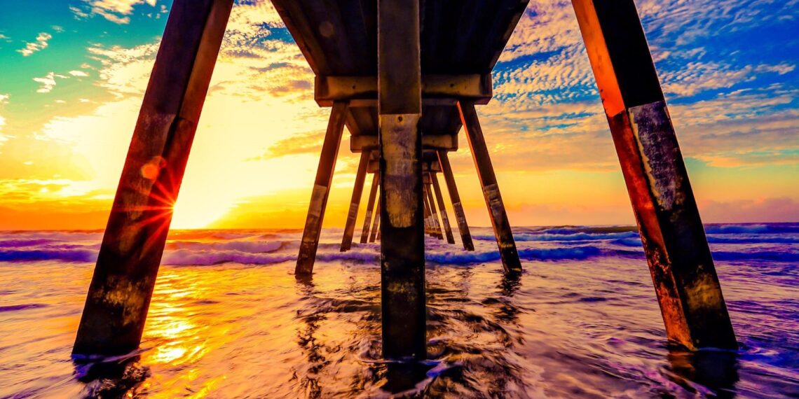 Ногоон бодлого Ногоон бодлого