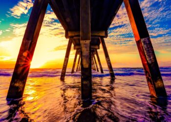 Ногоон бодлого Ногоон бодлого