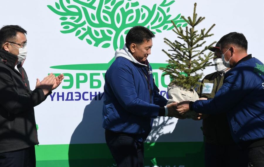 Тэрбум мод-Мега төсөл