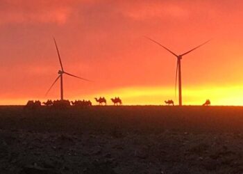 Манай улс сэргээгдэх эрчим хүчийг үйлдвэрлэх газарзүйн ашигтай байрлалд оршдог