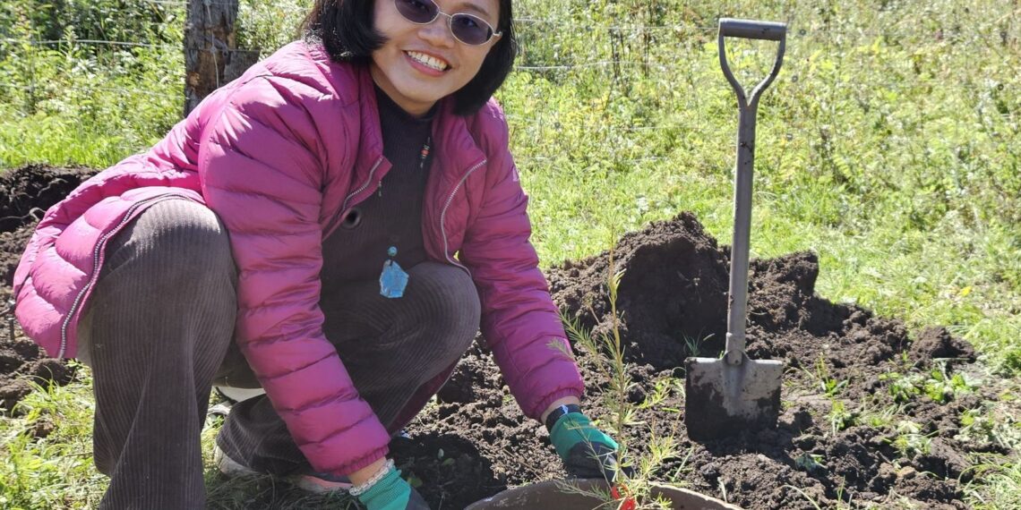 Нэг сая мод тарьж ургуулсан Тайванийн модны эмч хатагтай Чэн Ли И-гийн зөвлөгөө