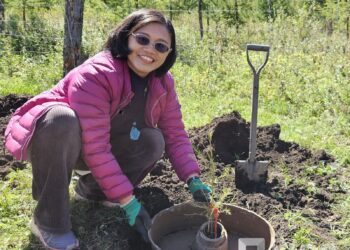Нэг сая мод тарьж ургуулсан Тайванийн модны эмч хатагтай Чэн Ли И-гийн зөвлөгөө