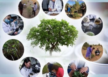 Ойн салбарт 7000 мэргэжилтэн шинээр бэлдэнэ