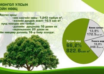 Монгол орны ой модны эзэлж буй газар нутаг Европын дөрвөн орны ойн талбайтай тэнцүү