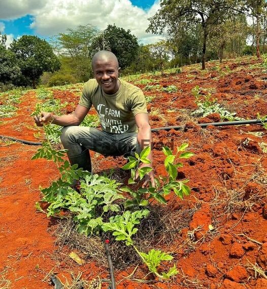 Фред хэмээх цэцэрлэгч африк залуу ногоочин болохын тулд дараах чадваруудыг эзэмшсэн байх ёстой хэмээн зөвлөжээ
