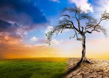 Уур амьсгалын өөрчлөлт Монголд