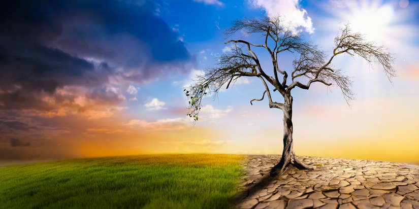 Уур амьсгалын өөрчлөлт Монголд