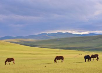 Зочин ихтэй зун