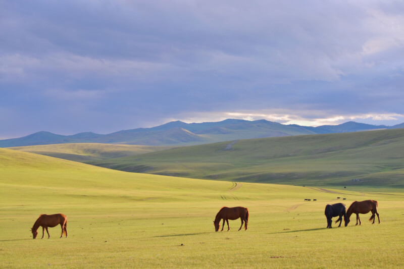 Зочин ихтэй зун