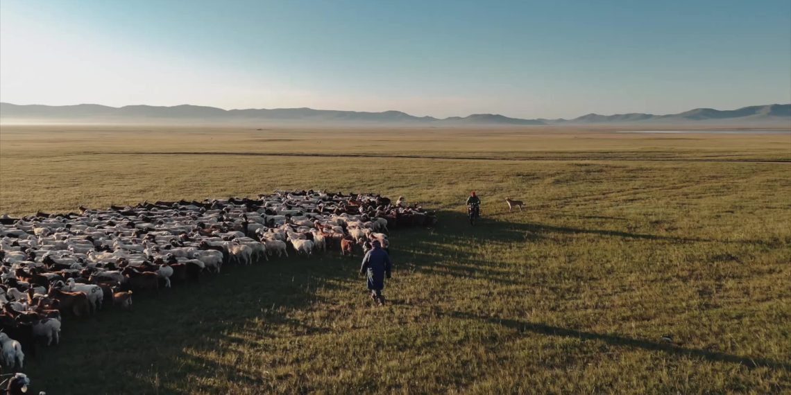 Бүтээмж, тэсвэртэй байдлыг нэмэгдүүлж, хүлэмжийн хийг бууруулах нь