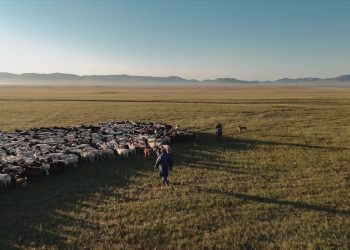 Бүтээмж, тэсвэртэй байдлыг нэмэгдүүлж, хүлэмжийн хийг бууруулах нь