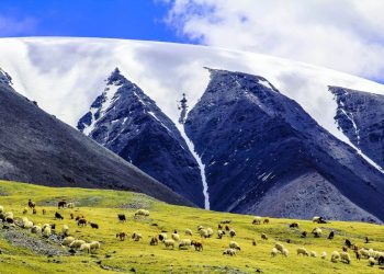 Байгаль бидэнд юу сануулж байна вэ
