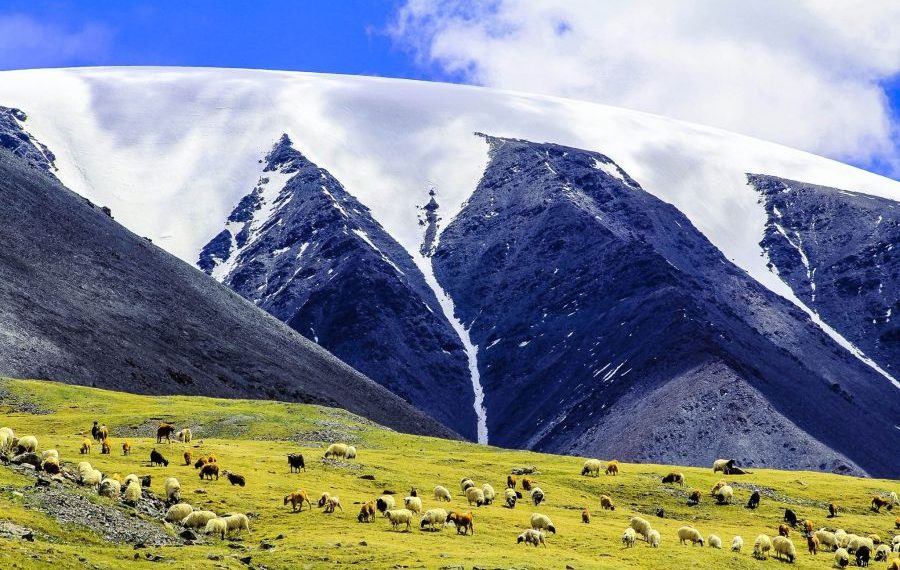 Байгаль бидэнд юу сануулж байна вэ