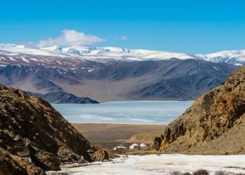 COP17 бидэнд юу өгөх вэ