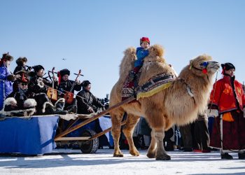 Түмэн тэмээний өлгийд тэмээний баяр боллоо