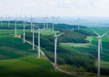 Ногоон туршлага – Ногоон Хятад