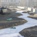 Сэлбэ гол амь тавихад ойрхон байна