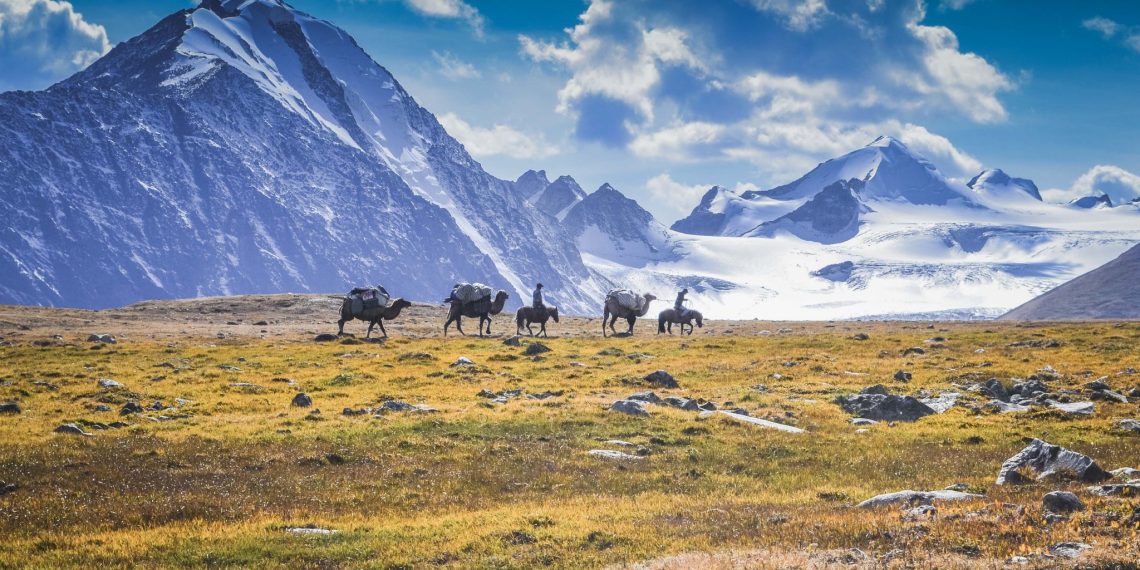 Газраа үр хойчдоо бүтнээр нь хүлээлгэн өгмөөр байна