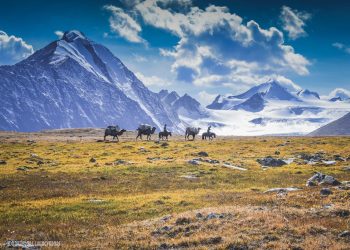 Газраа үр хойчдоо бүтнээр нь хүлээлгэн өгмөөр байна