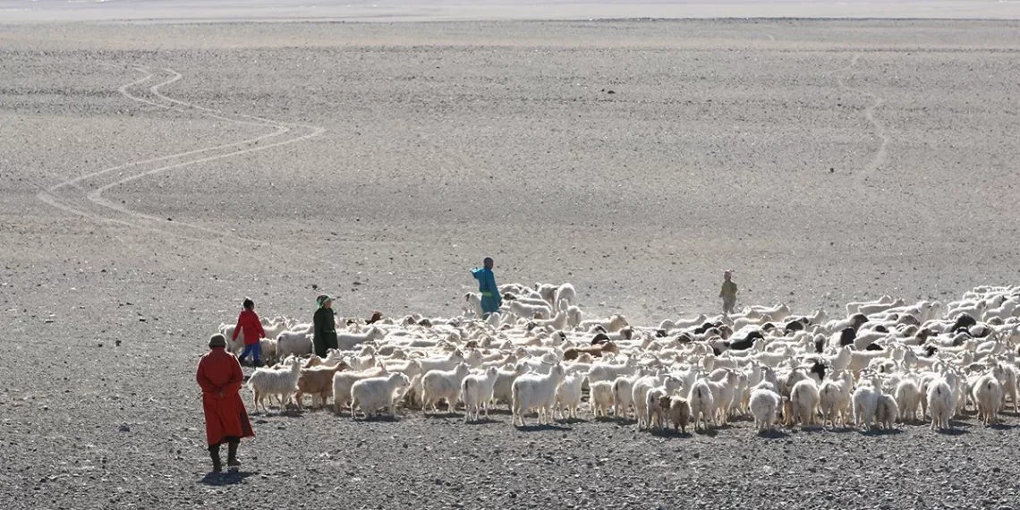 Нүүдэлч монголчуудын эцсийн нүүдэл