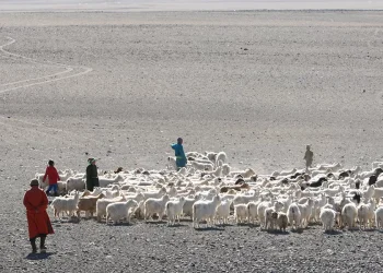 Нүүдэлч монголчуудын эцсийн нүүдэл