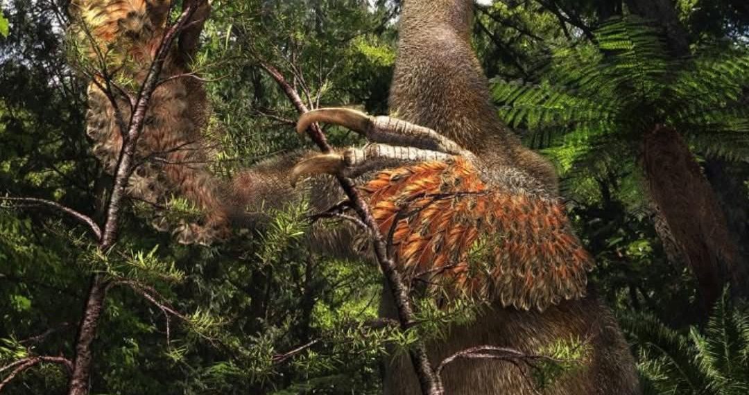 Монголын говь байгалийн үнэт архив 