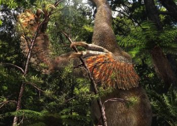 Монголын говь байгалийн үнэт архив 