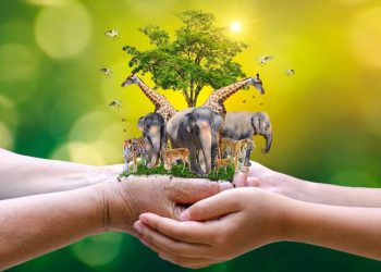 Байгалиа хамгаалах нь ирээдүйгээ хамгаалж буй хэрэг