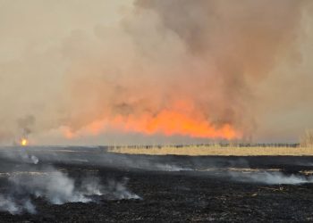 Нэг очийг унтрааж чадвал маргааш нэг ойг аварч чадна