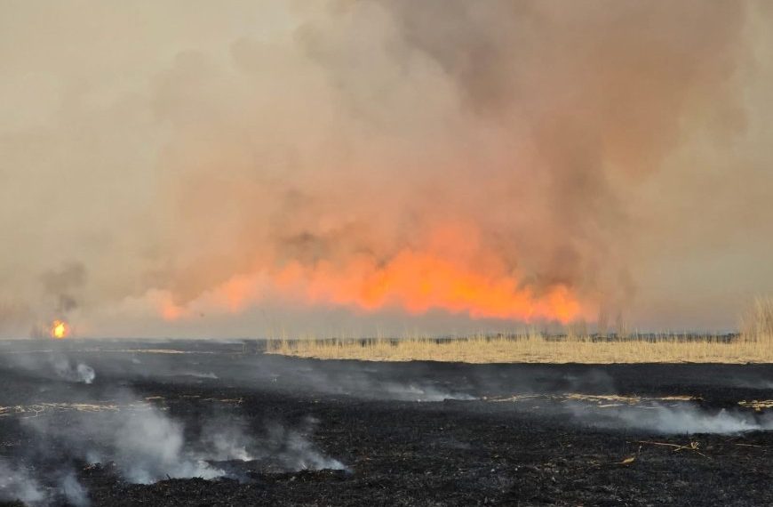 Нэг очийг унтрааж чадвал маргааш нэг ойг аварч чадна